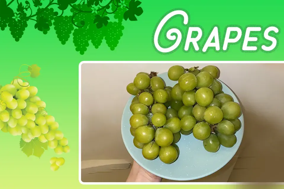 /var/www/html/rayvat_com/assets/images/fruit-day/Grapes_day/3 (3)